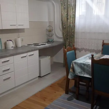 Apartment Wills - Grbavica